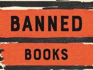 Banned books orange banner